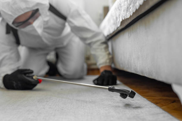 Professional Bed Bug Control technician working in Dunn County County, ND